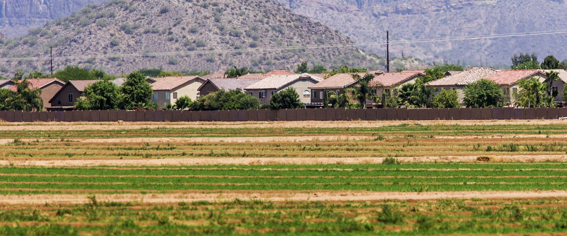 The Ins and Outs of Early Voting in San Tan Valley, AZ